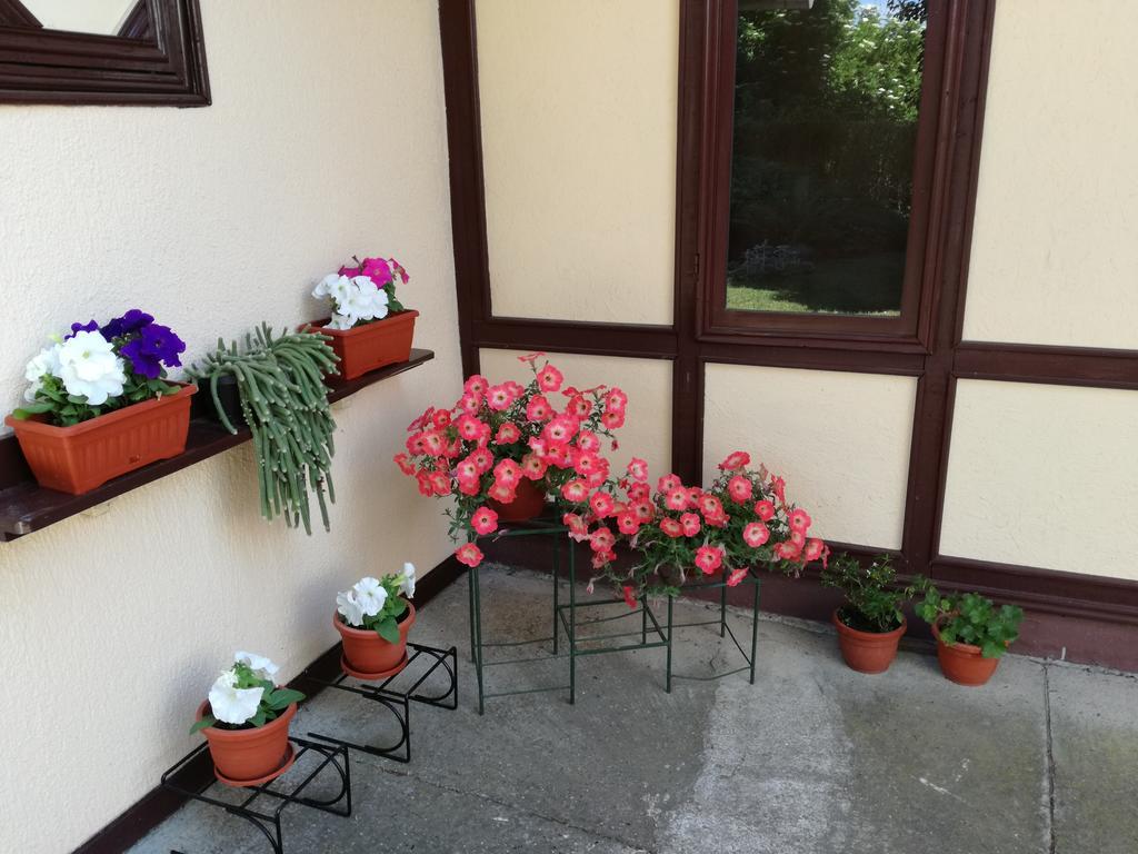 Stara Breza 1 Rooms Palić Dış mekan fotoğraf